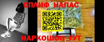 ешки Можга